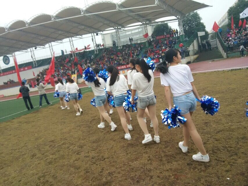 bevictor伟德官网